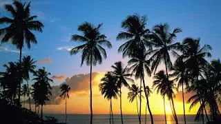 FREE REGGAETON BEAT