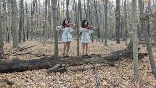 My Way - Frank Sinatra - Twin Violins / viola cover / Our Jorney from Bulgaria to Chicago