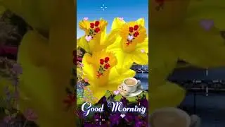 Good Morning Status GIF