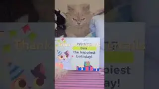 Thank you, supertails #cat #Happy birthday, Bella#￼ supertails
