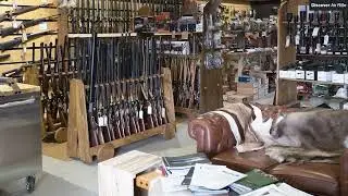 Field & Falcon - Air Rifle Shop in Wrexham