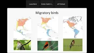 MO Birding Challenge - Annual Cycle of Birds