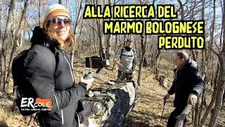 Lo abbiamo trovato! E' il marmo di Bologna che un tempo si estraeva in Appennino