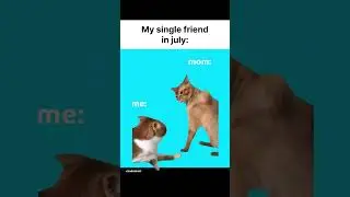 miaun #cat #sorts #dog #xat2022 #children #trending #comedy