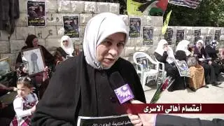 حملة تلفزيون الفجر الجديد لتكريم المرأة والأم ج3