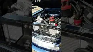 SS Shaun VS Donkmaster clash of the titans @ Sacramento race way