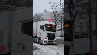 Beast with eyes that burn red#germany #winter #snow #beautiful #youtubeshorts #eyes #road #white #yt