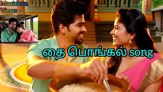 தை பொங்கல் தமிழ் new album song staring #manickamviews and #thara #trending #festivevibes #2026song
