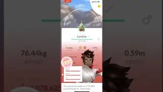 💯100 IV Larvitar CAUGHT in Pokemon Go!💯 #shorts #pokemon