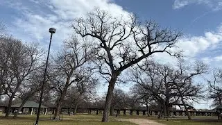1/1/26 GMS DALLAS THURSDAY LIVE PROPHECY