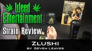 Zlushi - Hybrid - by Seven Leaves - Strain Review - from Dr Greenthumbs, Sylmar, Ca