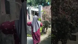 Awalnya mau masak tapi tiba-tiba aja badmod dan gk semangat gitu jadi yaudah pindah2 hin bunga aja