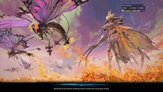 Tera: Gossamer Vault Brawler POV