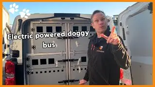 Lightweight Dog Transport Crates for Peugeot E-Expert | Eco-Friendly & Comfortable Travel