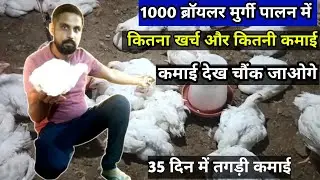 1000 ब्रॉयलर मुर्गी पालन में खर्च और कमाई | सिर्फ 35 दिन की कमाई | Broiler Chicken Farming#1000murga