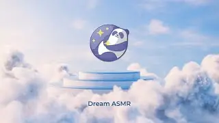 Video asmr echo