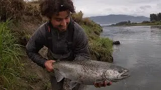 VEDDER RIVER Salmon CATCH & COOK (Coho, Red Chinook and White Chinook) Taste Test