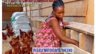 Free Range Chicken Rearing Made Easy | Low Cost & High Profits | Farm Up Nation.