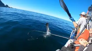 Mooching for King salmon in Alaska | Mid June 2021