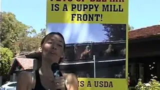 Anti-Puppy Mill and Pro-Adoption Rally
