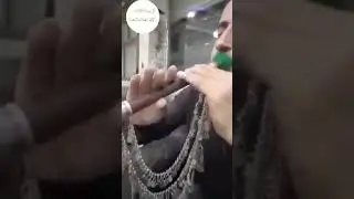 abulfoz 2021 zurna