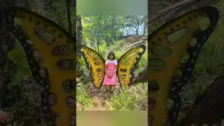 My first Vlog#thenmala /Thenmala ecotourism/butterfly safari 🦋🦋#nature #naturelovers #naturewalk