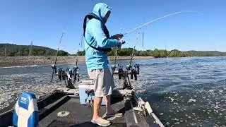 Early Morning Catfish Hunt | Tennessee River Giants Over 30 lbs 