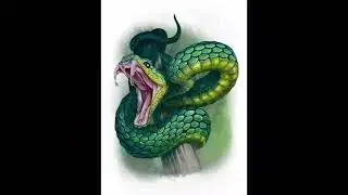 kali recors .....sabinas Hidalgo nuevo le&oacute;n ....
