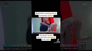 Big brother pranks housemates with real snake 🐍 #bigbrothermzansi #southafrica #bigbrother