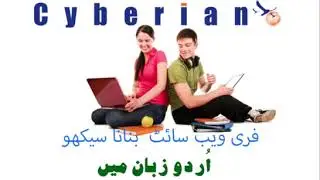 IT430 Assignment 2 Solution and Discussion