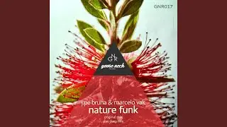 Nature Funk (Original mix)
