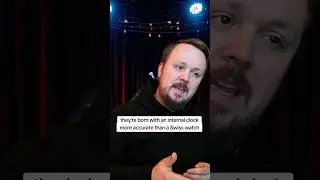 🎤 Let's Talk About Germans! 🇩🇪 #germanculture #comedyreel #lifeingermany #culturalhumor