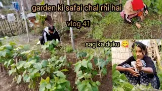 barish ke bad kitchen garden ki safai// clean the garden after the rain//-6.2.2024