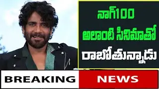 నాగ్&zwnj; క్రేజ్ అంతకంతకూ రెట్టింపు-nag100 with anil ravipudi latest sitting update-Nagarjuna-MnrTelugu