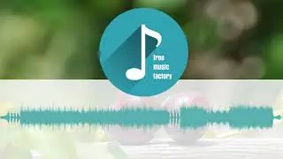 Stefan Kartenberg - Hard Wired, Born Blind  | Free Music Factory
