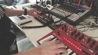 Melodic Rhythm Wolf Jam