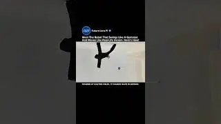 Meet the Shape-Shifting Soft Robot That Moves Like a Gymnast #robot #shorts #technology #innovation