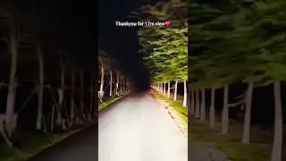 HAUNTED ROAD💀.#shorts#ghost#bhoot#Spirit#hauntedroad#like#subscribe#tree#100kview#youtube