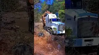 #mexicanos #troquero #truckdriver #trucker #nogaleros #trucking #comvoy #troseros#sierramadre