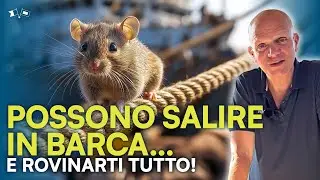 TOPI A BORDO? Ecco cosa devi sapere prima che sia troppo tardi! ❌🐭