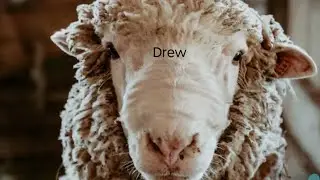 The Drew Titans Delusion is out the Roof😃😃😃