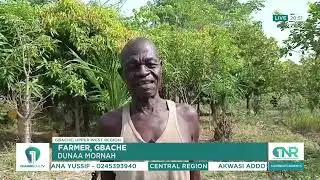 Incomplete Dam Project Jeopardizes Farming in Gbache, Threatens Livelihoods