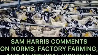 Sam Harris on Norms, Factory Farming, and an 'Ethical Wrinkle'