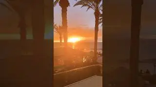 Sunset Beach Tenerife🌅 #travel #tenerife4k #spain #beach #sunset #spanishislands #short