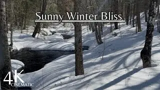 Winter&rsquo;s Embrace: Sunlit Riverbend, Birds, and Snowfall Serenity
