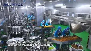 Linpack 25 years one-stop automatic pouch packaging machine Chinese supplier