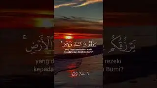 Surah fatir #murottal #fatir #surahfatir #murottalquran #merdusekali