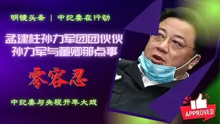 零容忍？一小时干货让你了解孟建柱孙力军团团伙伙，孙力军和董卿那些事｜明镜头条（20220113）