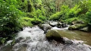 Peaceful river relaxation near quiet flowing water helping deeper deep sleep and anxiety relief