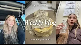 VLOG: Pregnancy appointments | Cozy Dinner Recipe | Realistic slow week as a mom